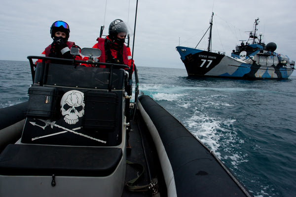 1% for the Planet: Sea Shepherd